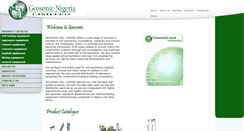 Desktop Screenshot of geosonicng.com